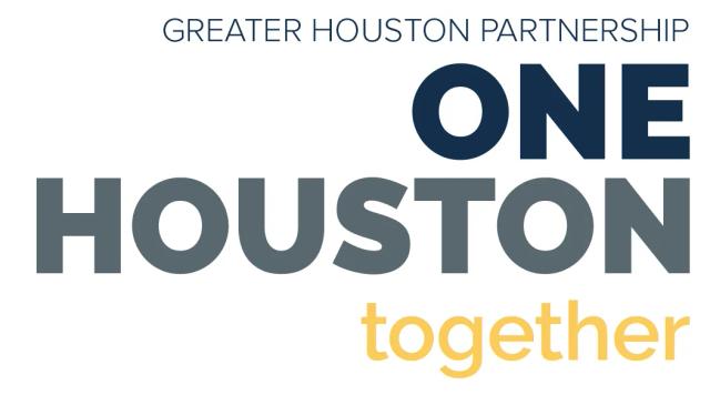 Nne Houston Logo